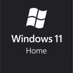 win11 home standard